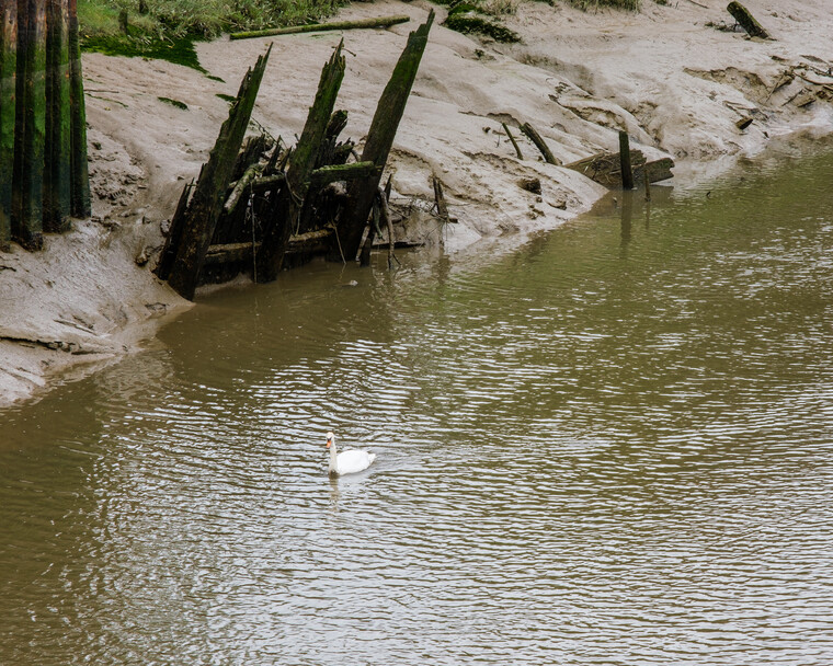 UK May '22 - Arrival (London) 013.jpg